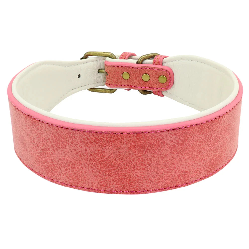 The Wide Luxe Collar - Padded Leather for Large Dogs Fashioned Furbabies