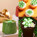 Succulent Plant Candle Mold 3D Succulent Silicone Mold Is Used for Scented Candle Resin Casting, Dessert Cake Decoration Lootquake LLC