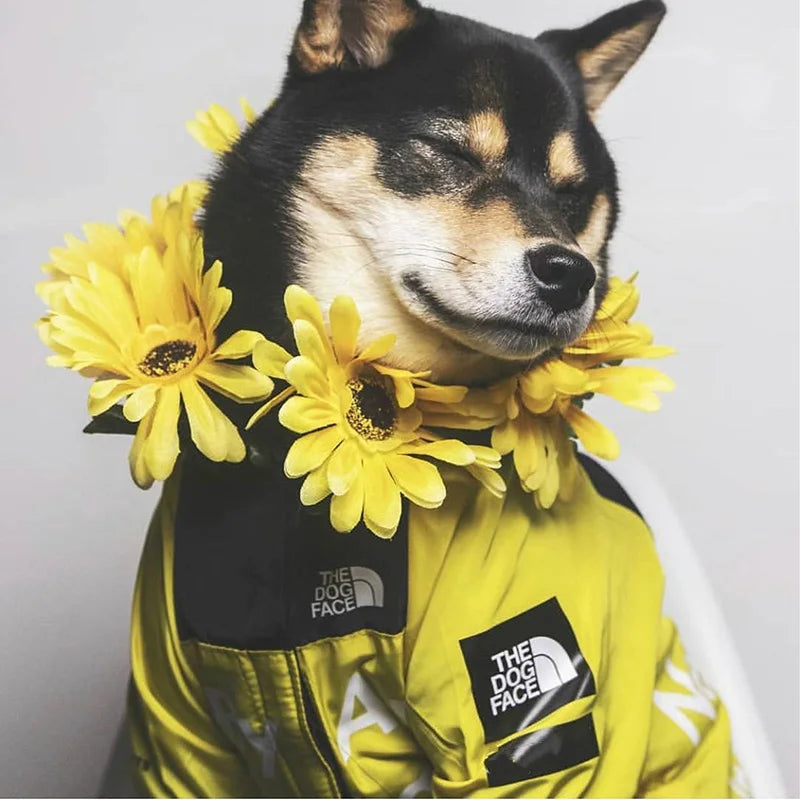 PawGuard RainCoat: Stylish Windbreaker for Dogs THRIXINE