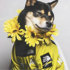 PawGuard RainCoat: Stylish Windbreaker for Dogs THRIXINE