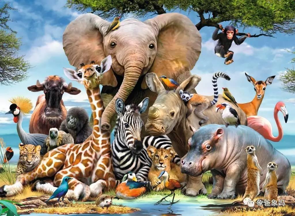 New Modern Stevvex Puzzles 1000 pieces Assembling picture Landscape puzzles toys for Adults Children Kids Educational Games Toys With Cities and Natures - SJB-DIAMOND ELITES