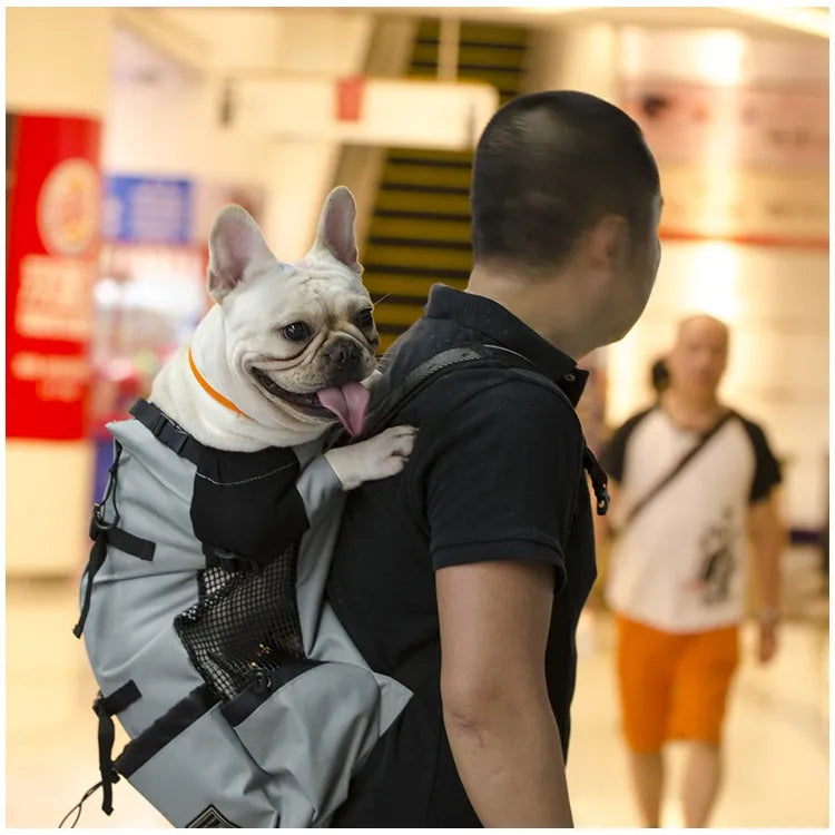Hiking Pet Dog Carrier Travel Backpack Outdoor Ventilation Outdoor Sport Mesh - SJB-DIAMOND ELITES