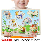 New Hand Grab Board Wooden Puzzle Toys for Children Cartoon Animal Fruit  Kids Baby Early Educational Learning Toy - SJB-DIAMOND ELITES