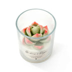 AIKUN 7.5oz Handmade Soy Wax Smokeless Aromatherapy Green Succulent Scented Candle for Desk Decor & Zen Garden Gift Set