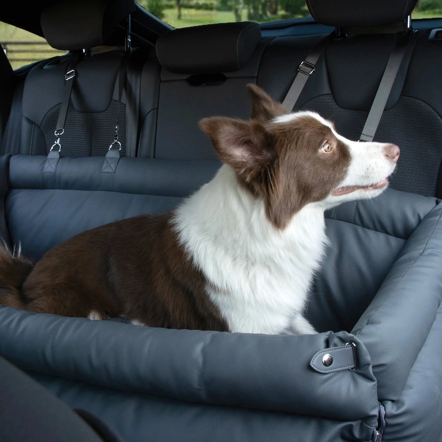 Milano Double Booster Seat Fashioned Furbabies