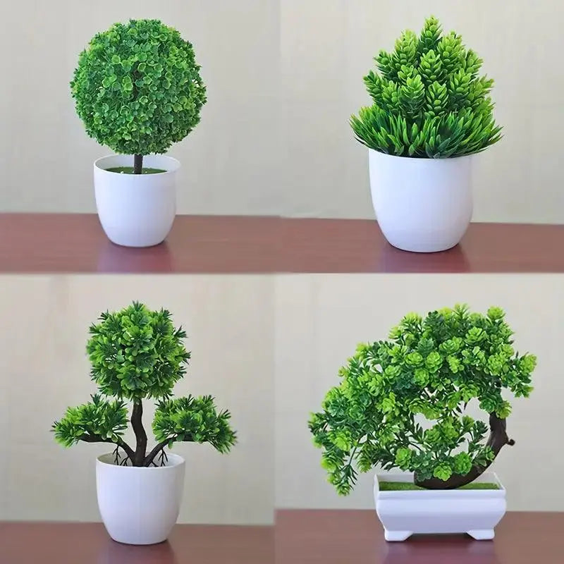 Small Bonsai Tree Pi-Mart