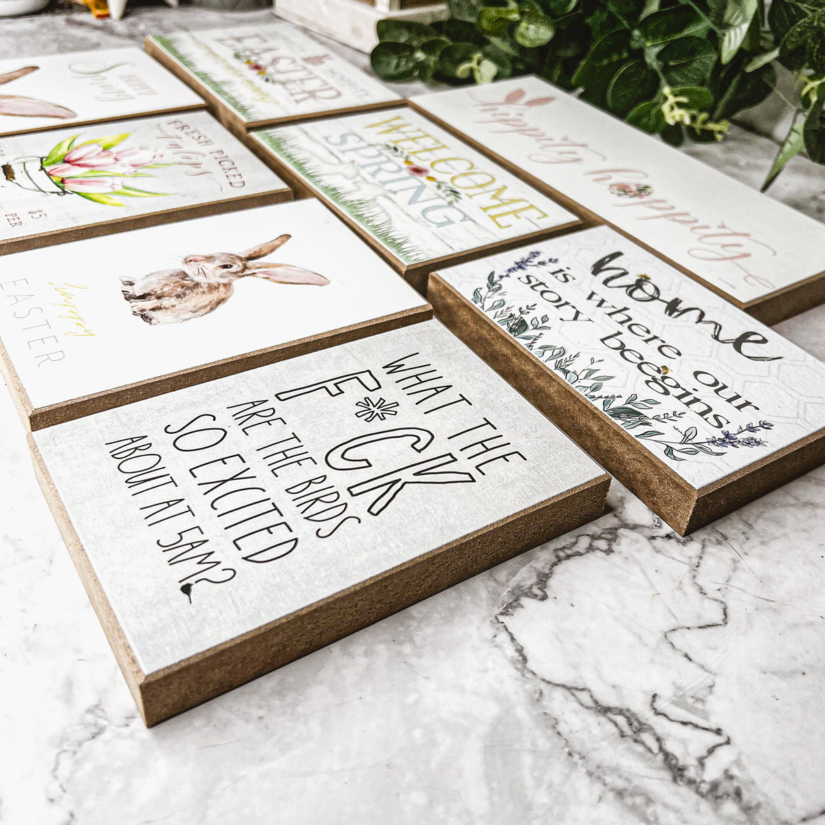 Bird Problems Wooden Block Sign 6x4x1 Inch Tiered Tray Decor For Mantel Shelf Counter