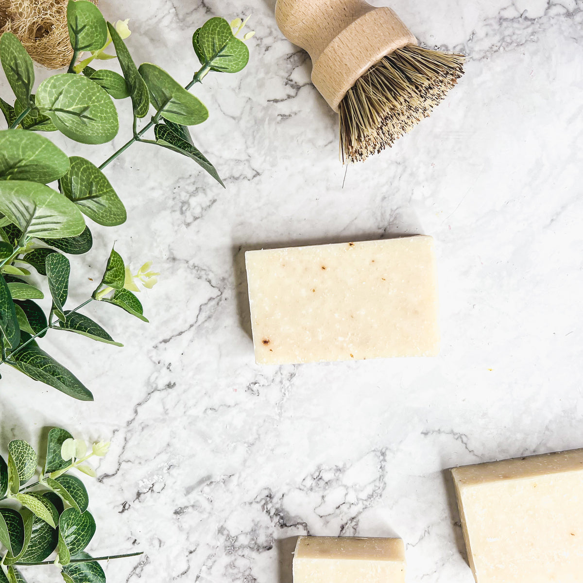 Spearmint Basil Body Scrub Sea Salt Oatmeal Exfoliant Refreshing Peppermint Leaves 8 Oz BandsCo Straps