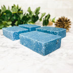 Blueberry Oatmeal Sea Salt Exfoliating Soap Bar With Ground Oats Gentle Blueberry Scent BandsCo Straps