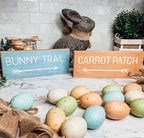 Limited Bunny Trail Carrot Patch Wooden Easter Signs Pastel Spring Decor BandsCo Straps