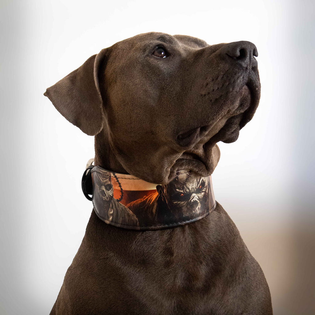 The Scare Collar Limited Bestia Dog Gear