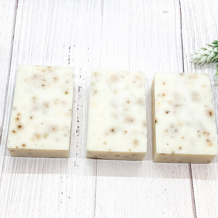 Spearmint Basil Body Scrub Sea Salt Oatmeal Exfoliant Refreshing Peppermint Leaves 8 Oz BandsCo Straps