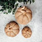 Rattan Resin Pumpkins Fall Decor - Set Or Single, 3 Sizes, Honey Cognac BandsCo Straps