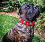 The "Eros" collar 2.5 inch wide RED - SJB-DIAMOND ELITES