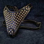 The "Gladiator" harness Gold/Silver - SJB-DIAMOND ELITES