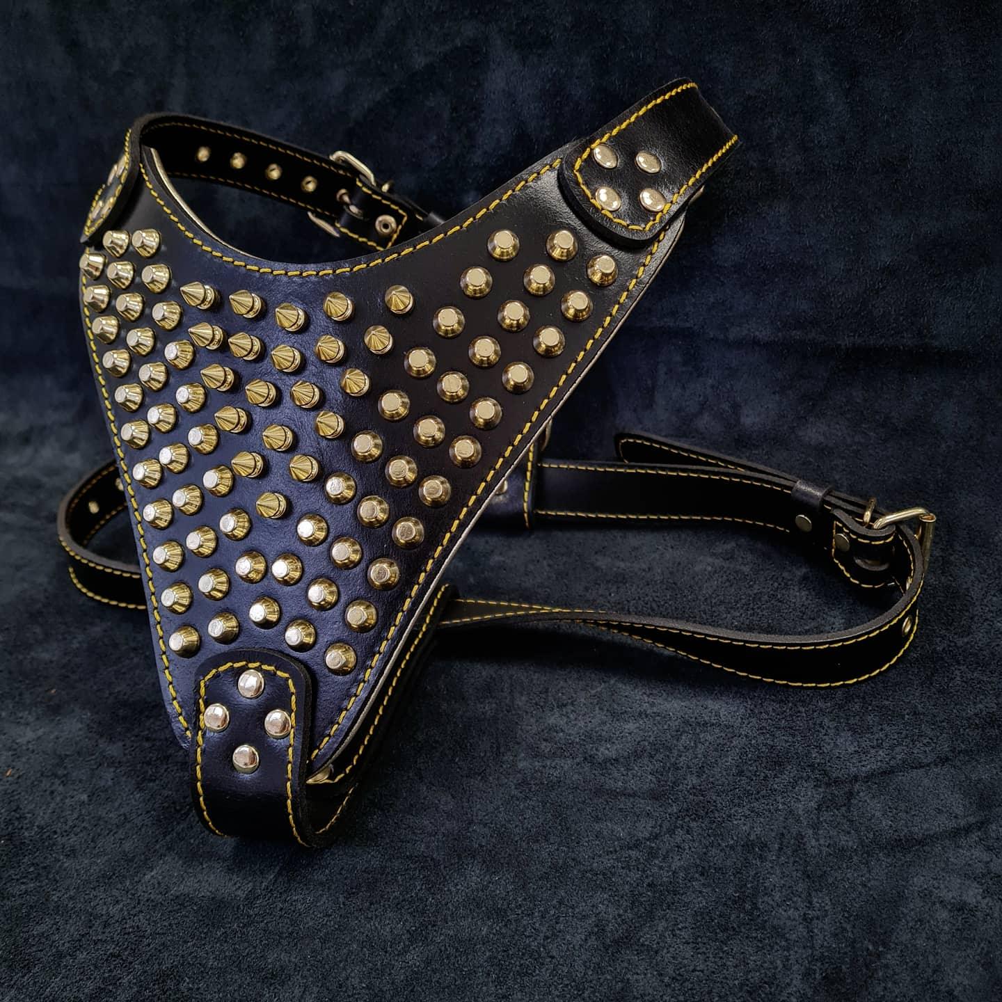 The "Gladiator" harness Gold/Silver - SJB-DIAMOND ELITES