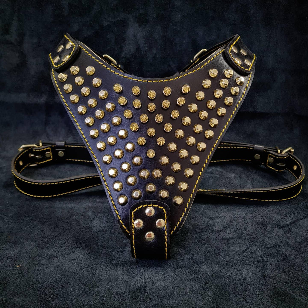 The "Gladiator" harness Gold/Silver - SJB-DIAMOND ELITES