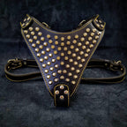 The "Gladiator" harness Gold/Silver - SJB-DIAMOND ELITES