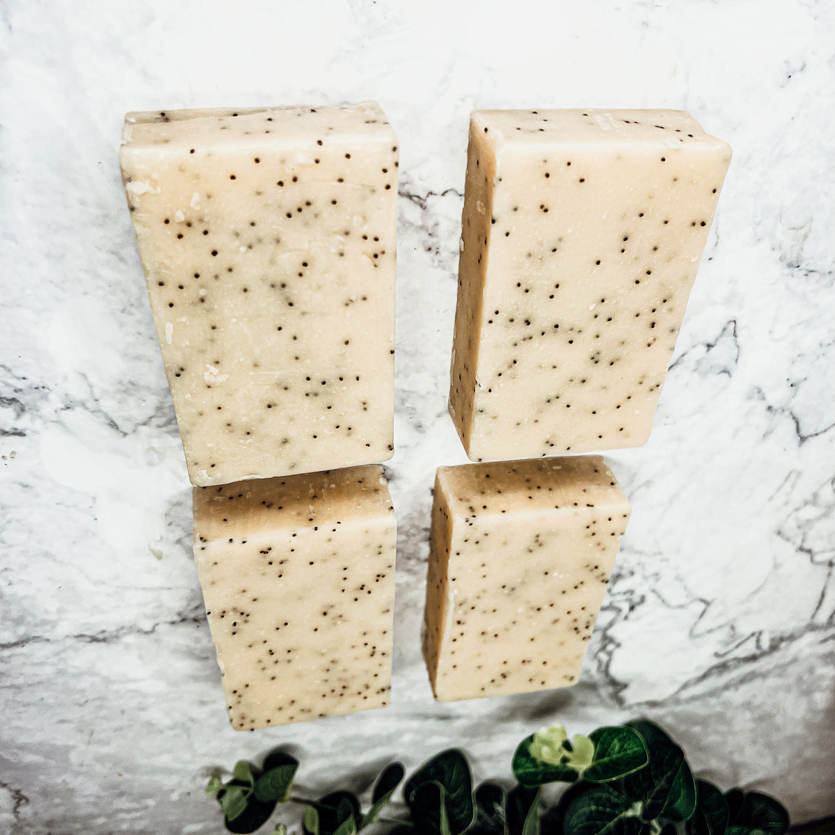Poppy Seed Exfoliant Soap Olive Sunflower Oil Citrus Tropical Scent Handmade BandsCo Straps