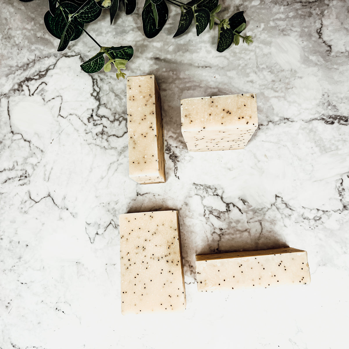 Poppy Seed Exfoliant Soap Olive Sunflower Oil Citrus Tropical Scent Handmade BandsCo Straps