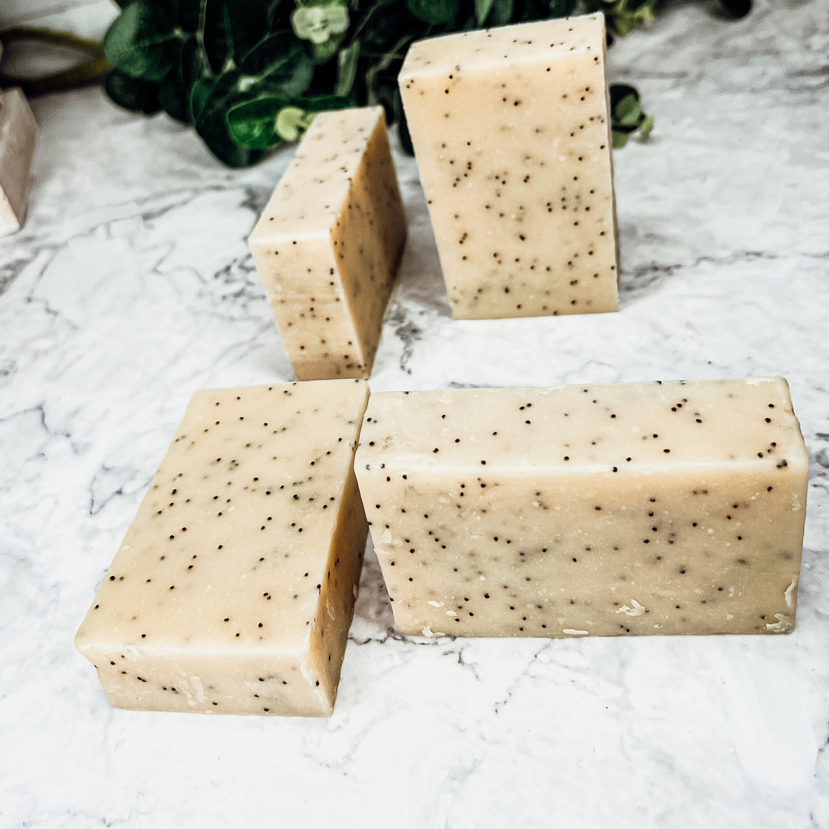 Poppy Seed Exfoliant Soap Olive Sunflower Oil Citrus Tropical Scent Handmade BandsCo Straps