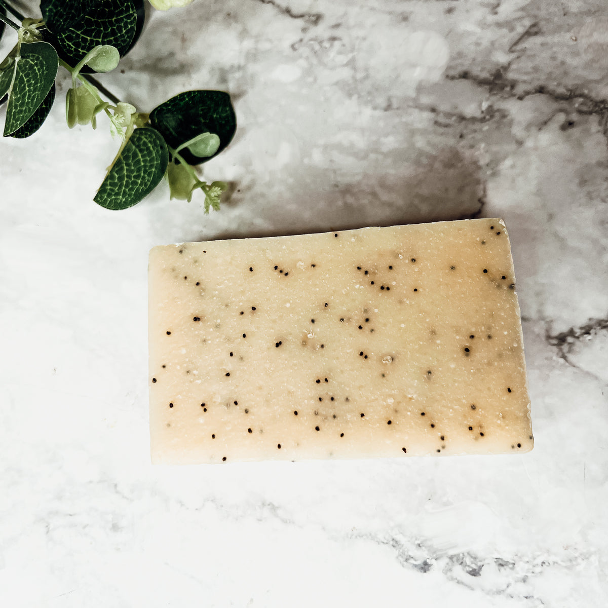 Poppy Seed Exfoliant Soap Olive Sunflower Oil Citrus Tropical Scent Handmade BandsCo Straps