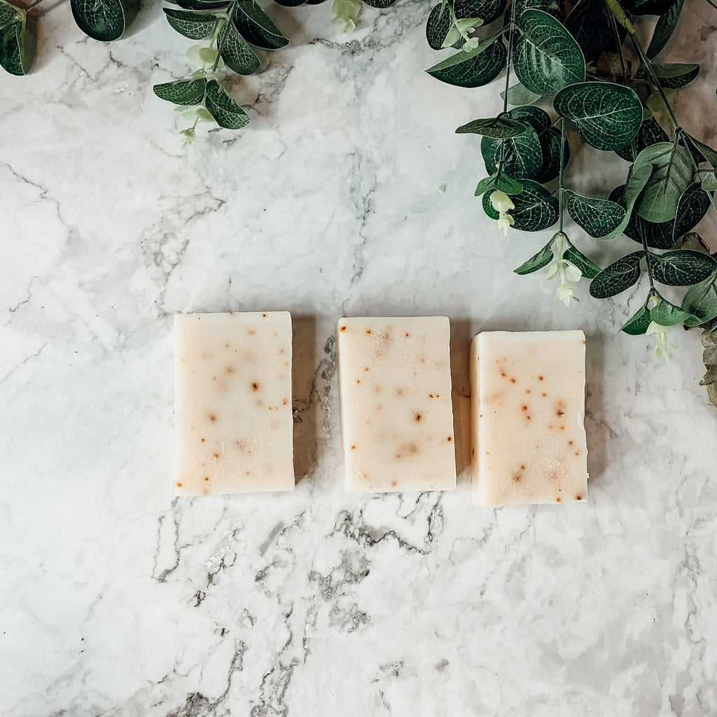 Tea Tree Mint Exfoliating Soap Bar With Peppermint Leaves Shea Butter Natural Oils Refreshing BandsCo Straps