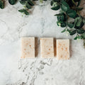 Tea Tree Mint Exfoliating Soap Bar With Peppermint Leaves Shea Butter Natural Oils Refreshing BandsCo Straps