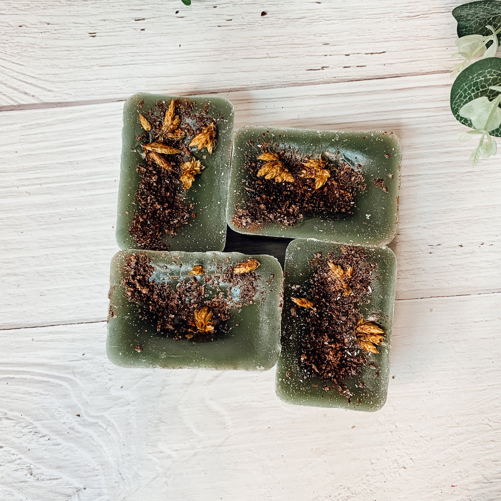 Secret Garden XL Natural Wax Melts 4 Extra Large Citrus Berry Coconut Cubes BandsCo Straps