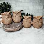 Basket Weave Owl Figurine Resin Rustic Owl Bookend Tabletop Accent Home Decor BandsCo Straps