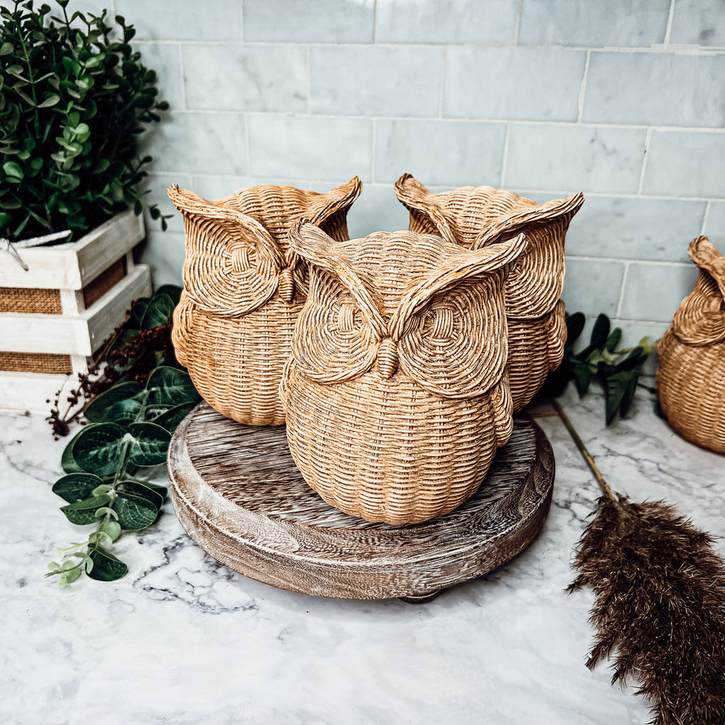 Basket Weave Owl Figurine Resin Rustic Owl Bookend Tabletop Accent Home Decor BandsCo Straps