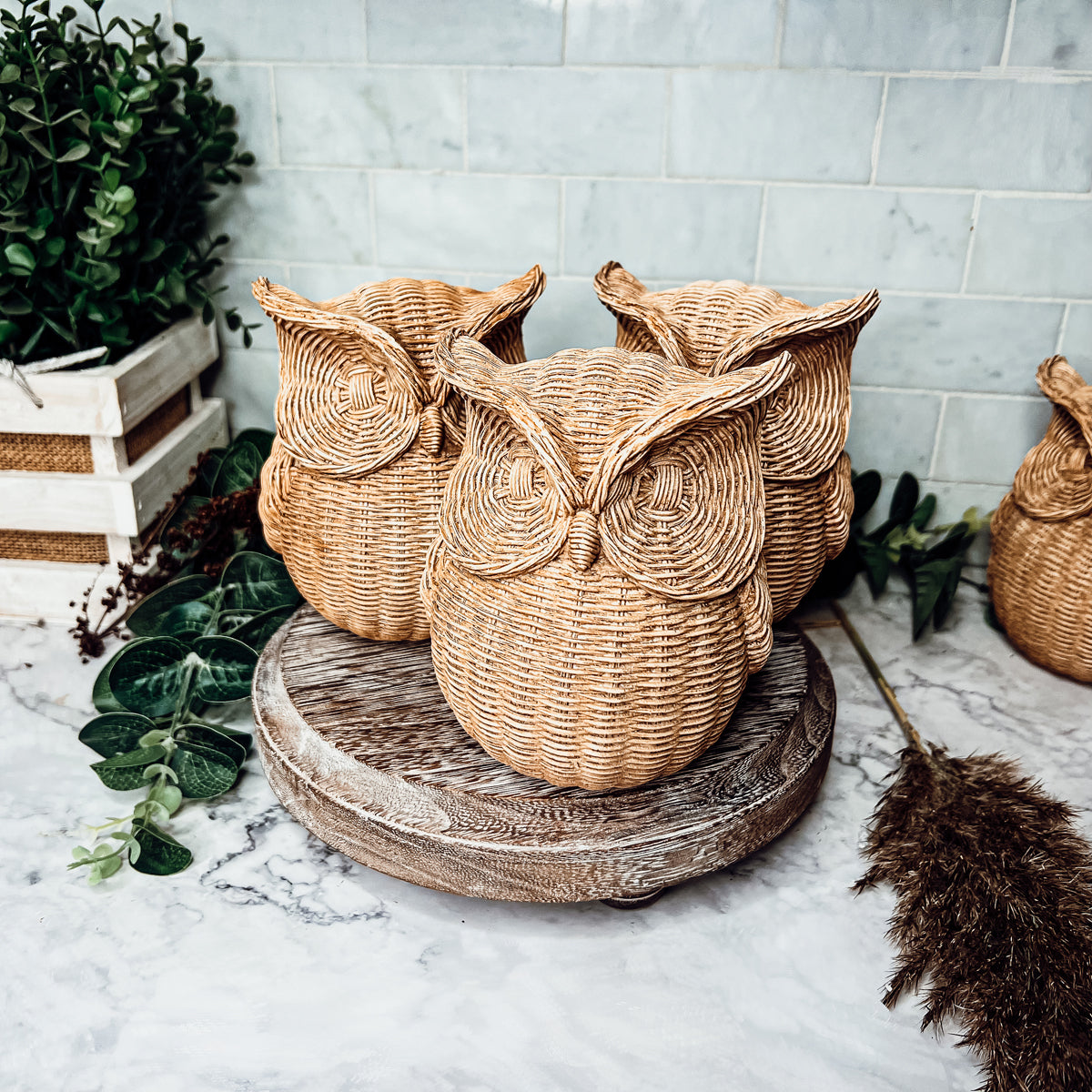 Basket Weave Owl Figurine Resin Rustic Owl Bookend Tabletop Accent Home Decor BandsCo Straps