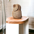 Basket Weave Owl Figurine Resin Rustic Owl Bookend Tabletop Accent Home Decor BandsCo Straps