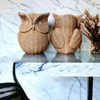 Basket Weave Owl Figurine Resin Rustic Owl Bookend Tabletop Accent Home Decor BandsCo Straps