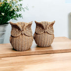 Basket Weave Owl Figurine Resin Rustic Owl Bookend Tabletop Accent Home Decor BandsCo Straps