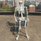 Realistic Skeleton Model