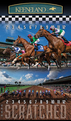 XL 18x30 Brown Striped Track Horse Race Party Game - New Heavy Duty Metal Horse Numbered 2-12 - SJB-DIAMOND ELITES