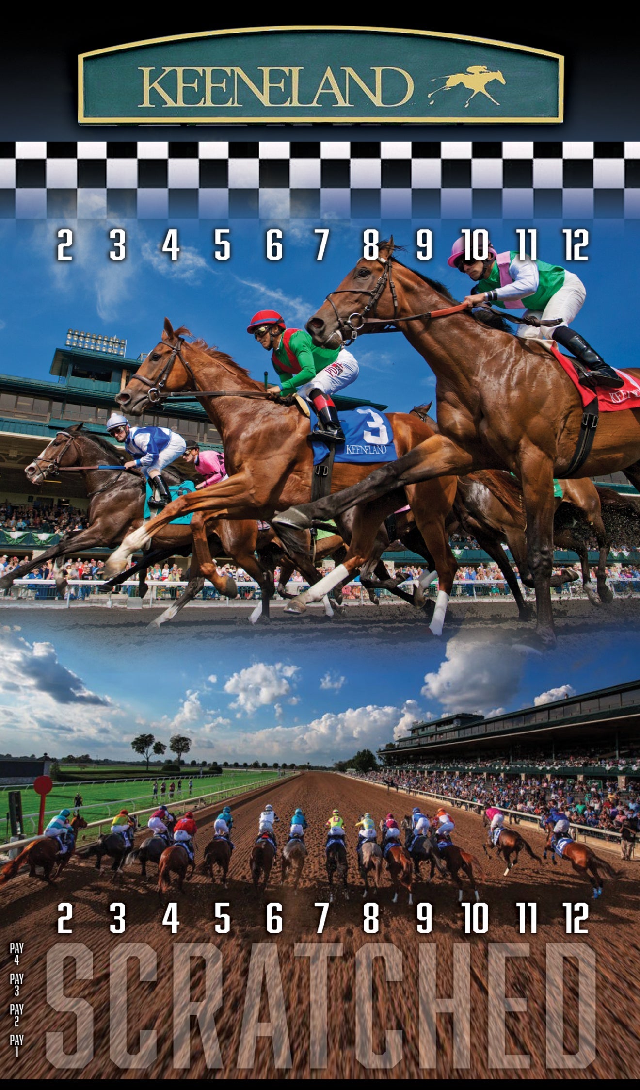 XL 18x30 Brown Striped Track Horse Race Party Game - New Heavy Duty Metal Horse Numbered 2-12 - SJB-DIAMOND ELITES