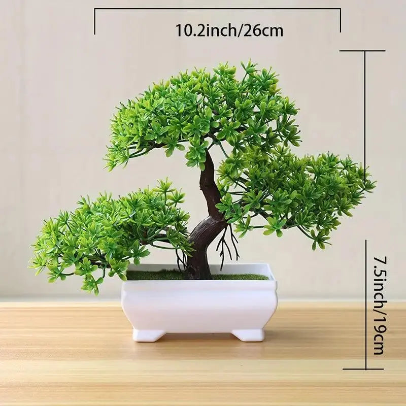 Small Bonsai Tree Pi-Mart