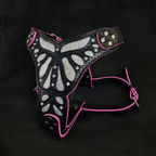 The ''Ariel'' harness - SJB-DIAMOND ELITES