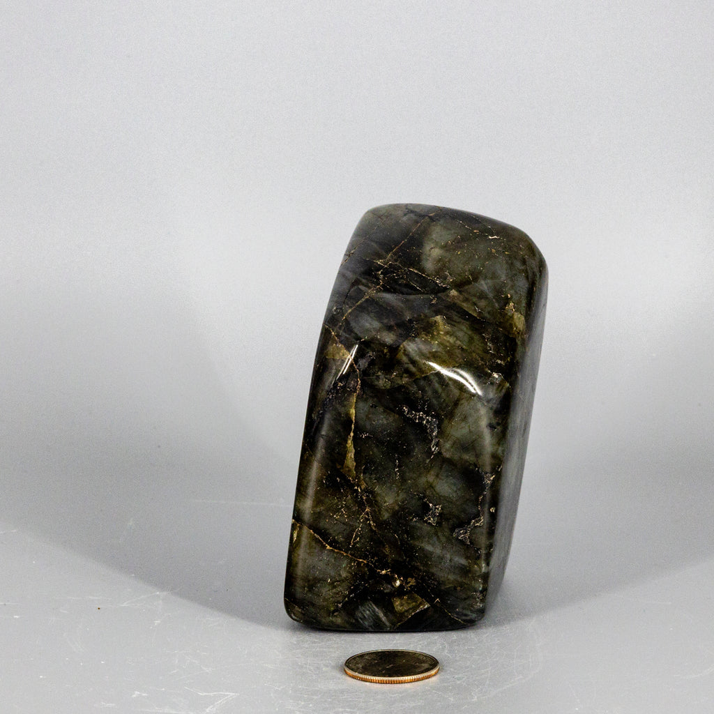 Labradorite "XL" High Flash Freeform
