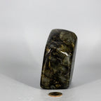 Labradorite "XL" High Flash Freeform
