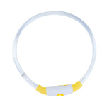 LED Rechargeable Dog Collar Pi-Mart