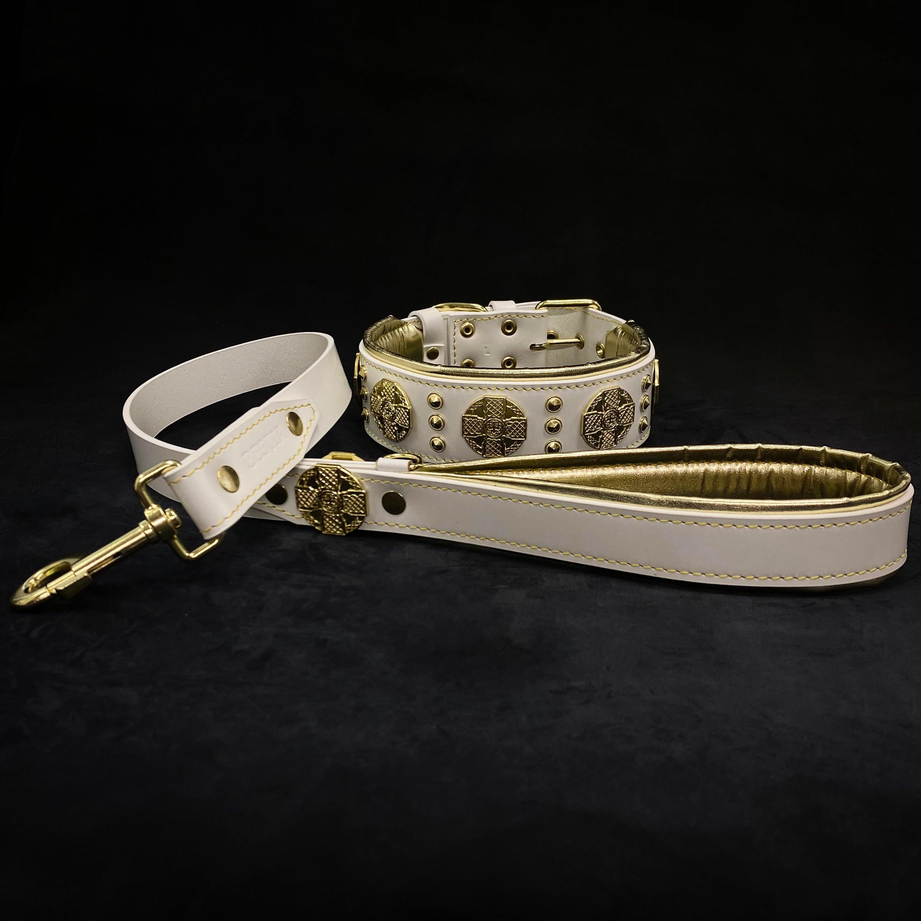 The "Maximus" collar 2.5 inch wide white & gold Bestia Dog Gear
