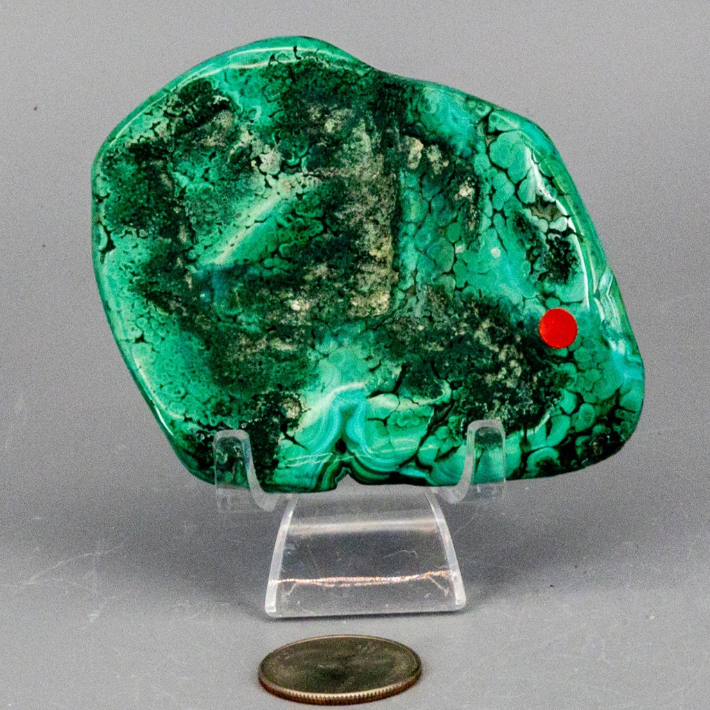 Natural Malachite Freeform Crystal - Grounding Protection Stone for Transformation Crystal Destiny