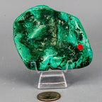 Natural Malachite Freeform Crystal - Grounding Protection Stone for Transformation Crystal Destiny
