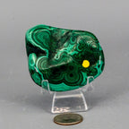 Natural Malachite Freeform Crystal - Grounding Protection Stone for Transformation Crystal Destiny