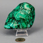 Natural Malachite Freeform Crystal - Grounding Protection Stone for Transformation Crystal Destiny