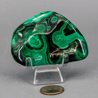 Natural Malachite Freeform Crystal - Grounding Protection Stone for Transformation Crystal Destiny