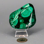 Natural Malachite Freeform Crystal - Grounding Protection Stone for Transformation Crystal Destiny